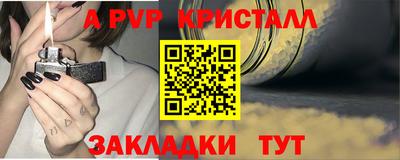 индика Гай
