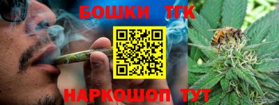 мдпв Гатчина