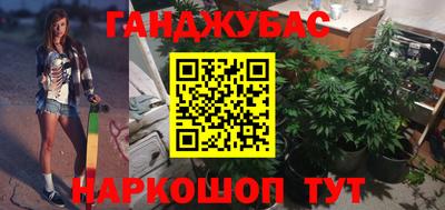индика Гай