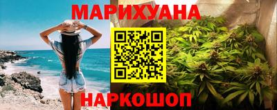 индика Гай