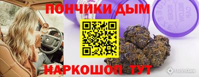 индика Гай