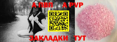индика Гай