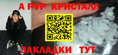 индика Гай