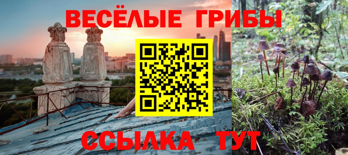 Галлюциногенные грибы MAGIC MUSHROOMS  Псилоцибиновые грибы ЛСД  дарнет шоп  Вход с VPN  Кинешма 
