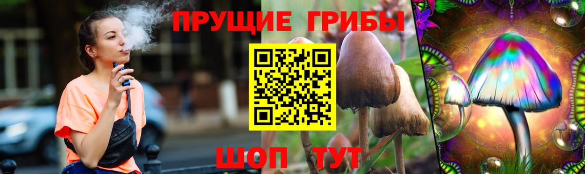 Псилоцибиновые грибы MAGIC MUSHROOMS Кинешма